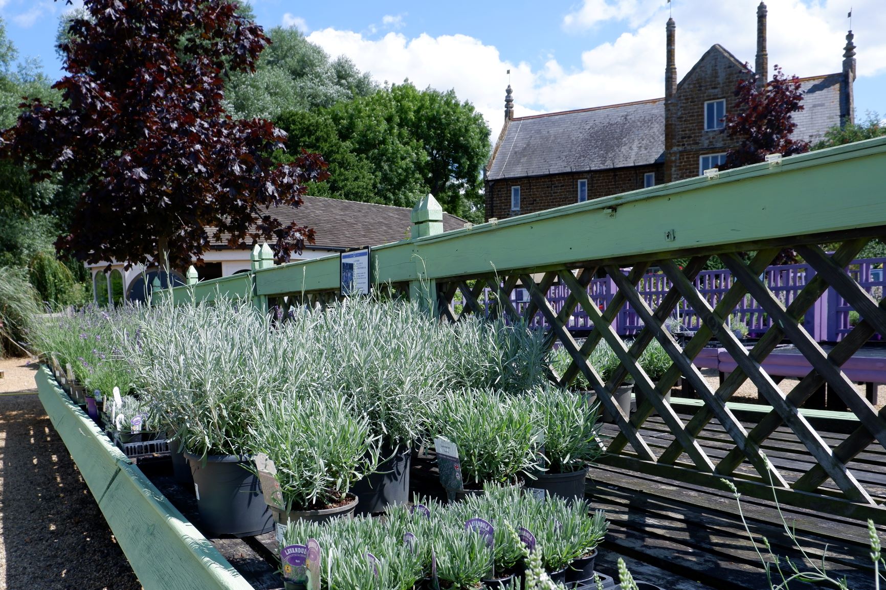 DSCF5410 (2) resized