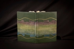 Colour photograph of the binding of Houses of Leaves, poems by Dafydd ap Gwylim, binding by Julian Thomas.  Image: Julian Thomas/National Library of Wales.